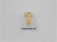 藏品(巨橙苔蛾)的圖片